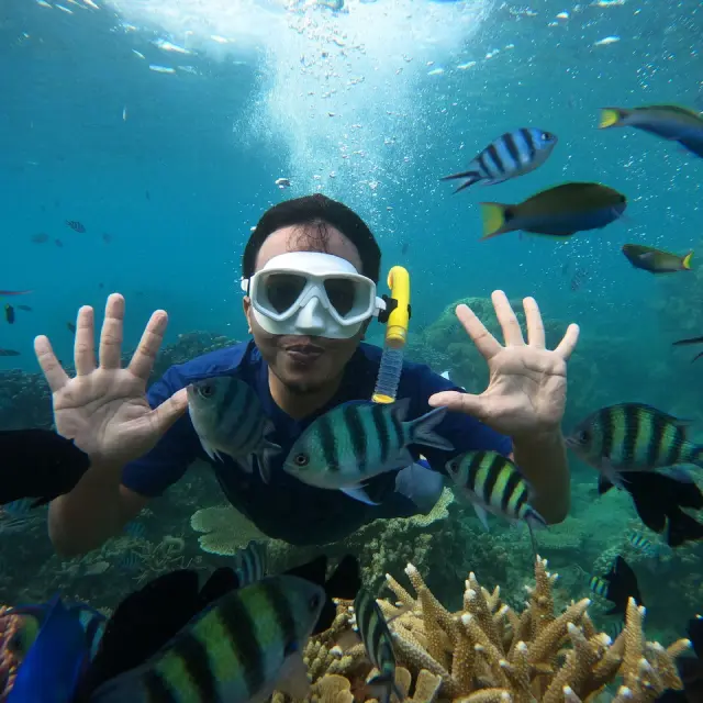 5 Ways Travel Agencies Enhance Your Experience